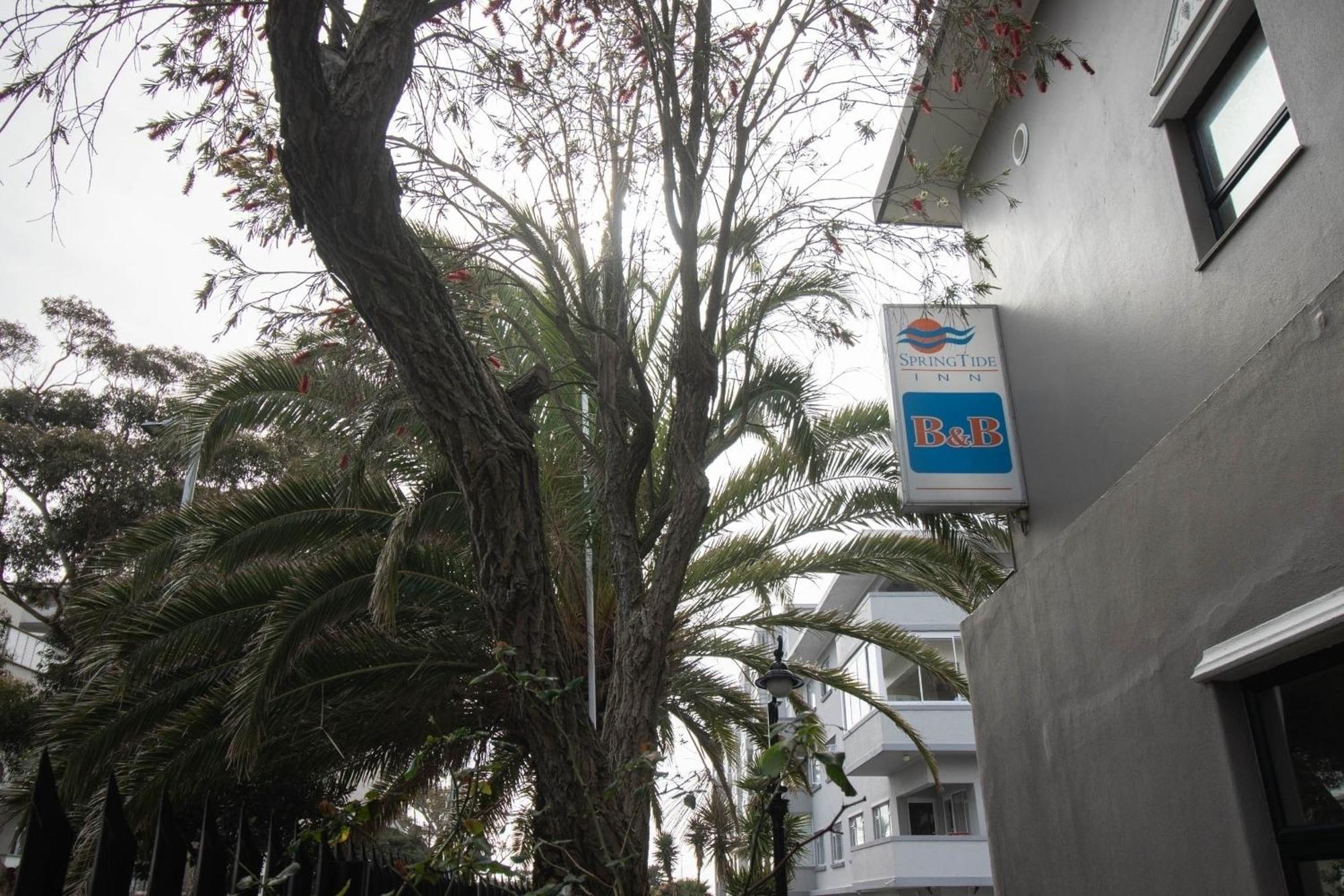 Spring Tide Inn By Ctha Cape Town Exterior foto